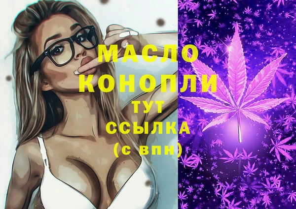 индика Иннополис