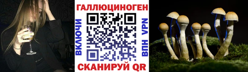 Псилоцибиновые грибы Cubensis ОМГ ОМГ как войти Аксай