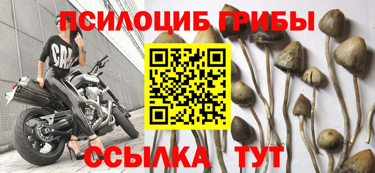 Галлюциногенные грибы прущие грибы  где можно купить   Аксай  Вход с VPN 