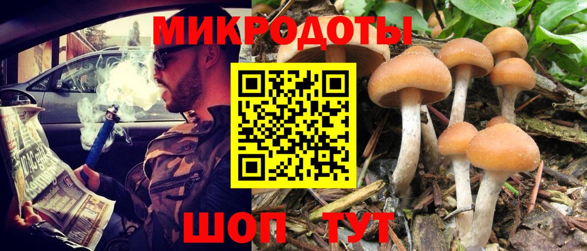 Псилоцибиновые грибы Psilocybe  Аксай  Галлюциногенные грибы GOLDEN TEACHER 