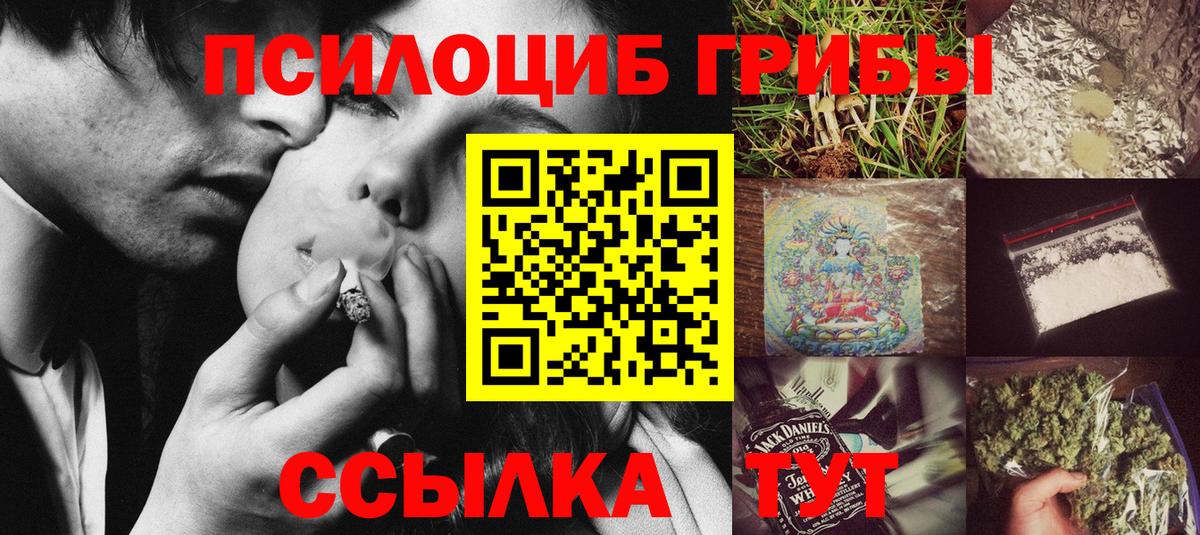 Псилоцибиновые грибы GOLDEN TEACHER Аксай