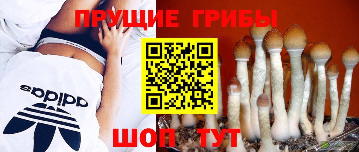 Псилоцибиновые грибы мухоморы Аксай